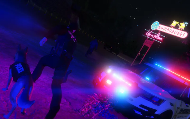 Night pursuit off the boulevard